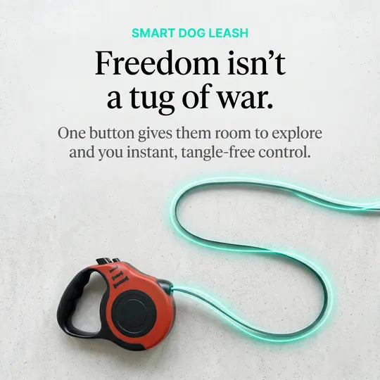 Smart Dog Leash