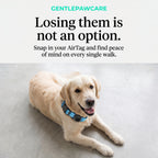 Dog AirTag Collar