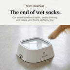 Smart Dog Bowl